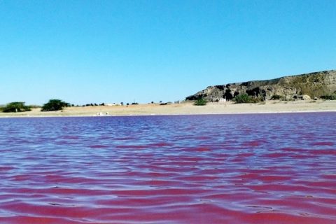 تور چابهار از تهران