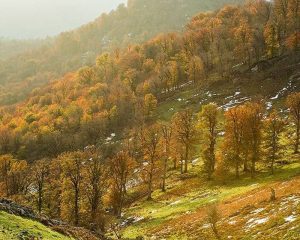 ییلاقات اندبیل