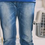 حمل حیوان خانگی با هواپیما