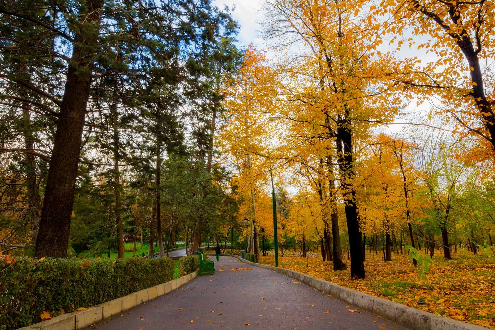 جاهای دیدنی مشهد پارک ملت