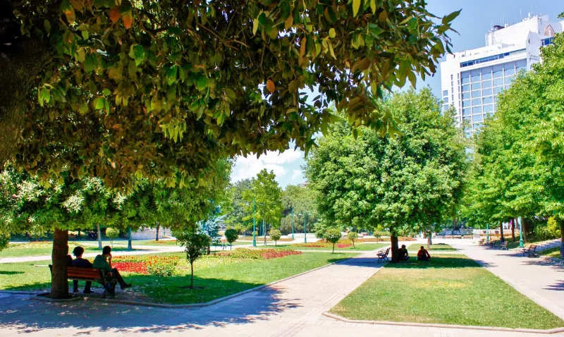 پارک تکسیم گزی