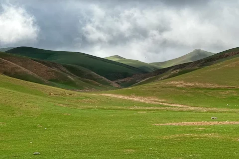 تور گروهی درگز یک و نیم روز از مشهد