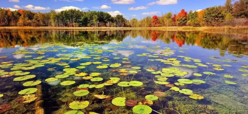 شهرهای توریستی ایران گیلان