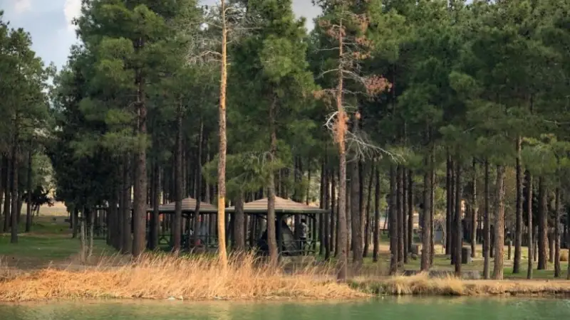 پارک جنگلی انقلاب زرقان