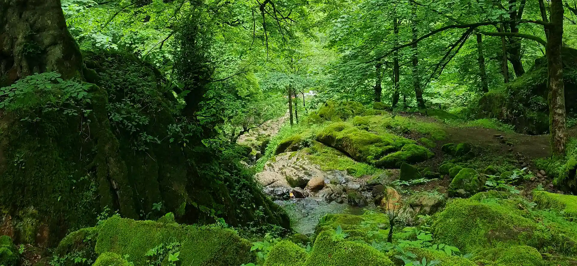 رزرو تور مسافرتی داخلی و خارجی