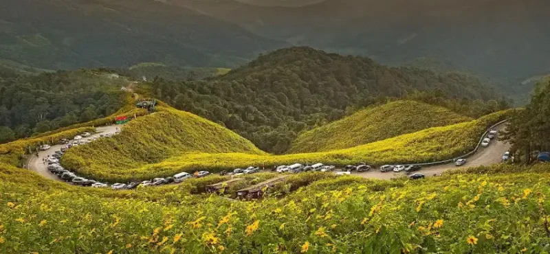 مای هونگ سون لوپ
