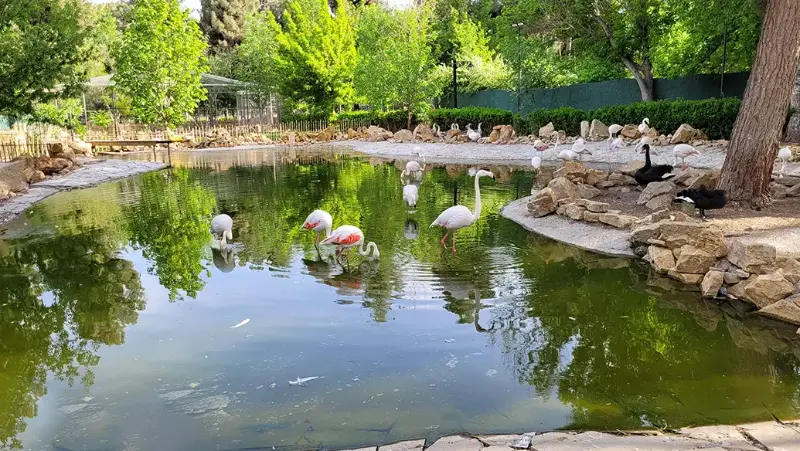 باغ گیاه شناسی مشهد