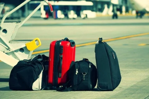 برگزاری تورهای ارگانی