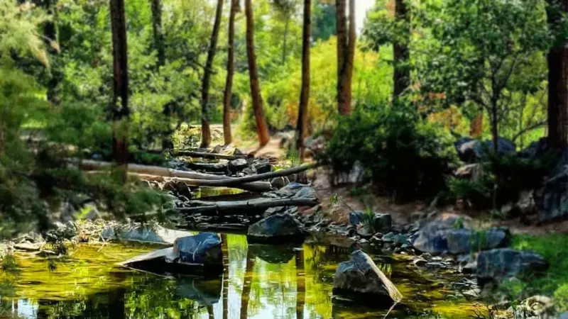 امکانات باغ گیاه شناسی مشهد