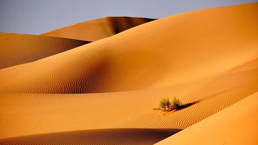ربع الخالی