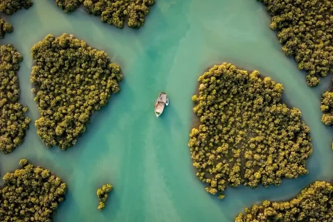 تور قشم از تهران