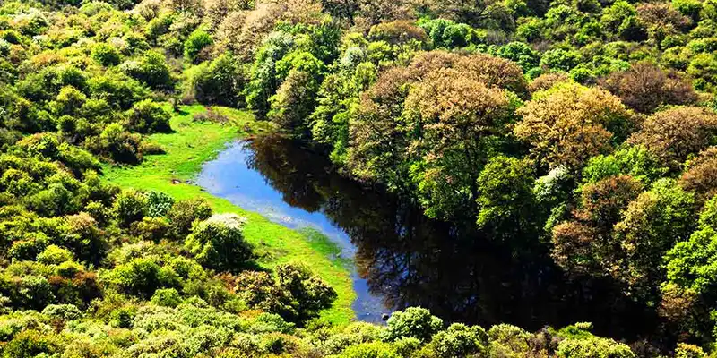 گلستان برای گردشگری طبیعت درمانی