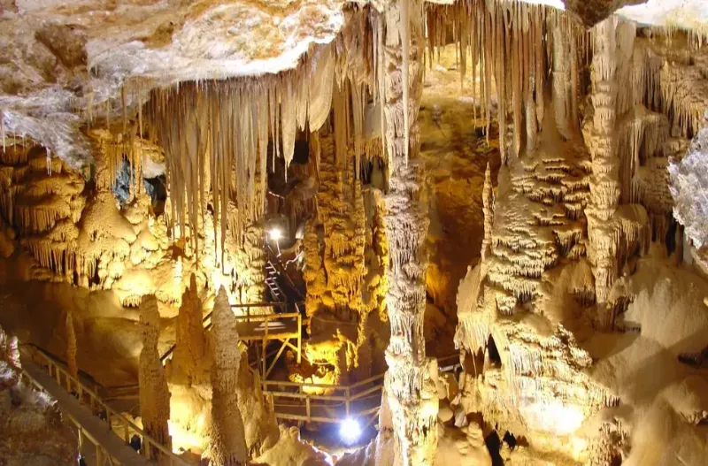 خدمات تور کوش آداسی