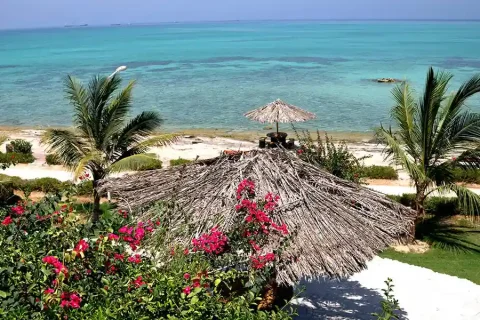 ساحل مرجان کیش