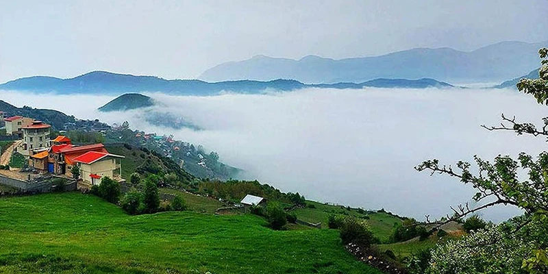 انواع تور رشت