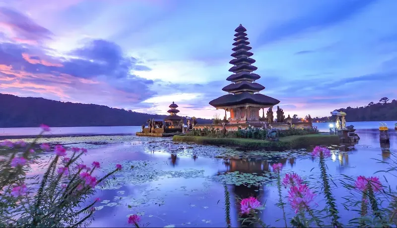 قیمت تور بالی