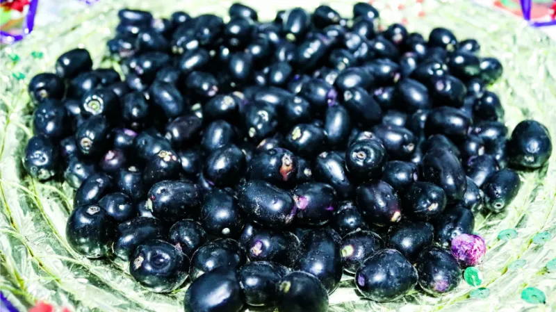 میوه سیتاپل یا بستنی درختی