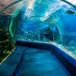 آکواریوم کیش