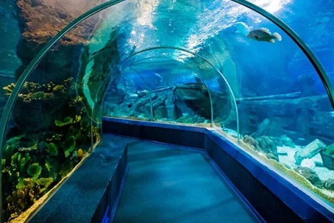 آکواریوم کیش