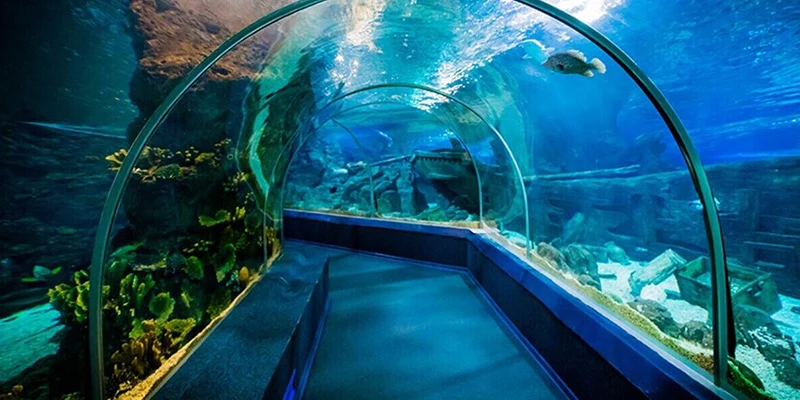 آکواریوم کیش