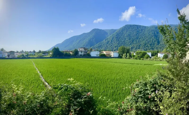 قیمت تور شمال