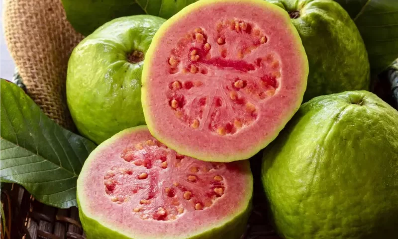 میوه زیتون چابهار