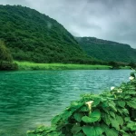 تور عمان