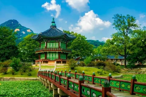 تور کره جنوبی