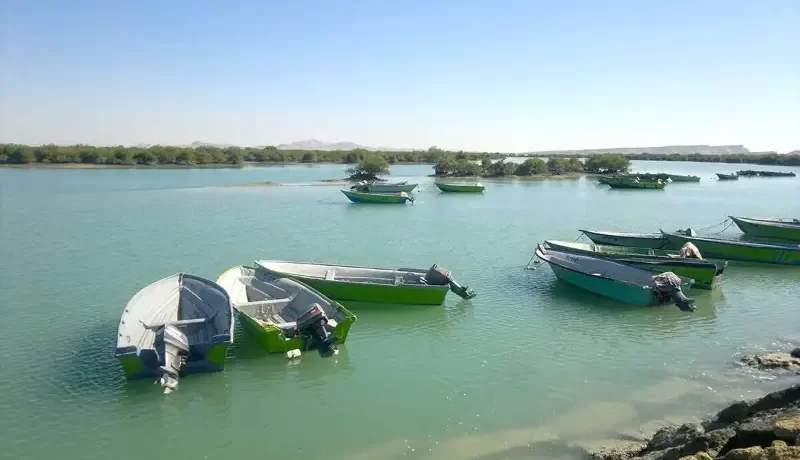 قایقسواری در جنگل حرا قشم