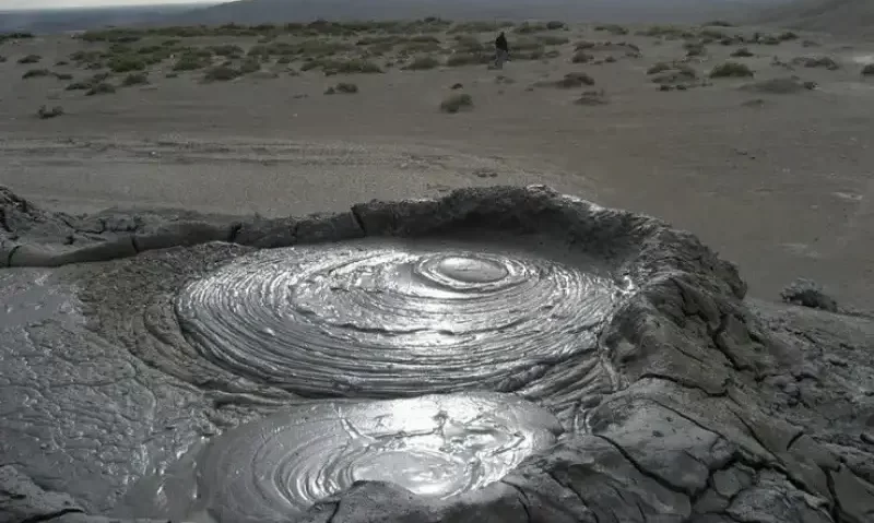 ویژگیهای گلهای کوه گل افشان