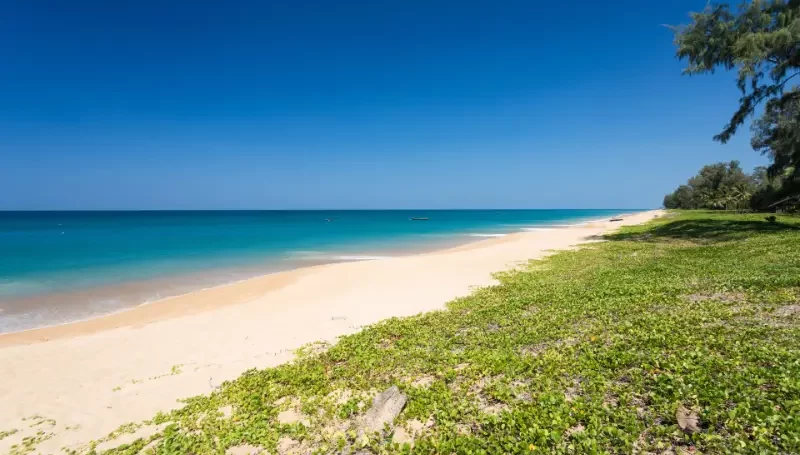 ساحل مای کائو