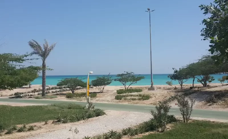 ساحل نیلوفر کیش