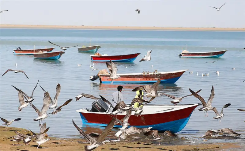تفریحات درک چابهار