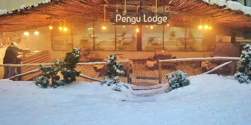 پینگو فود و پینگوکافه در پارک برفی کیش