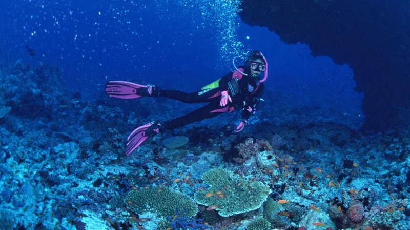 شنا و غواصی در سواحل کیش