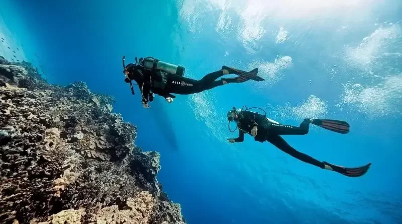 غواصی در قشم