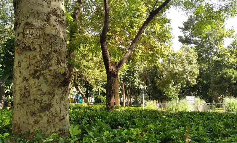 پارک فهمیده مشهد