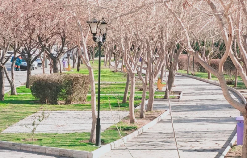 پارک حجاب مخصوص بانوان