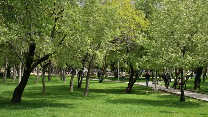 پارک کورتولوش