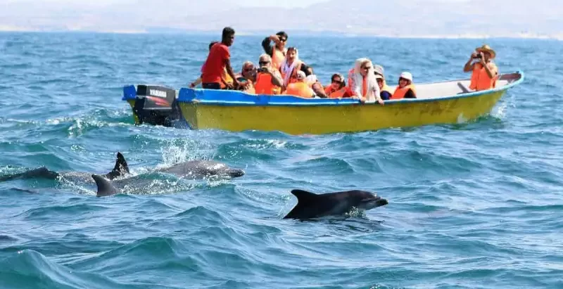 قایق سواری در قشم