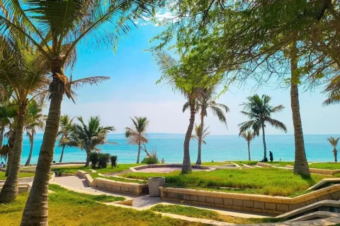 پارک زیتون قشم