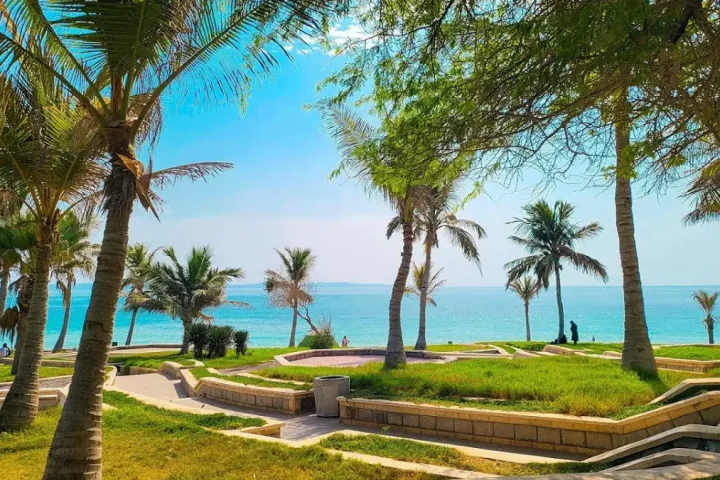 پارک زیتون قشم