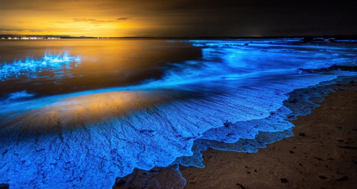 ساحل نورانی چابهار یا ساحل شب تاب چابهار