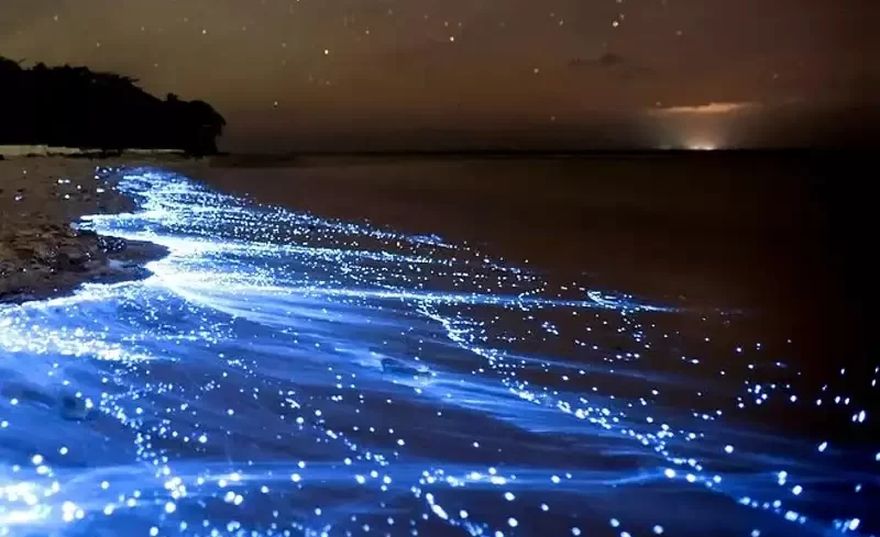 ساحل شب تاب