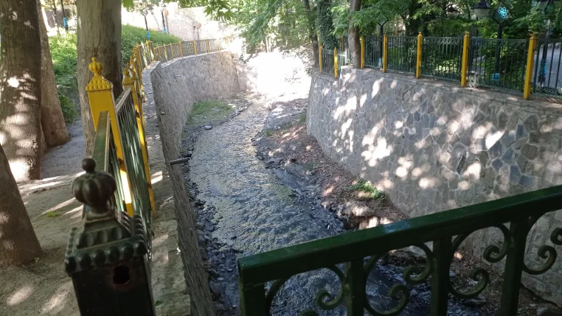 باغ تمشک مشهد