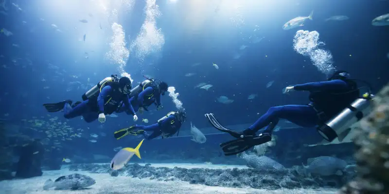 غواصی چابهار