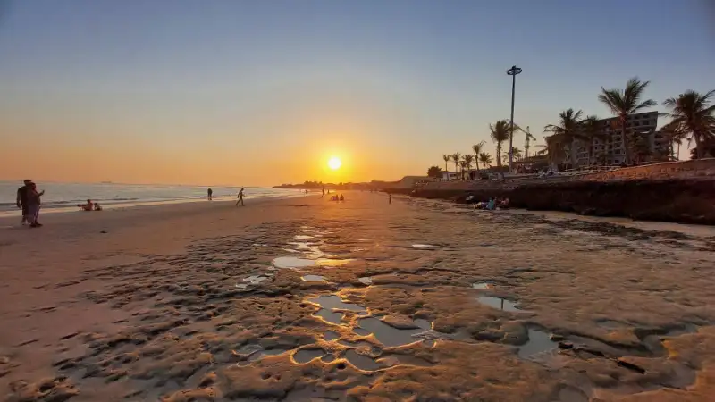 پارک زیتون قشم