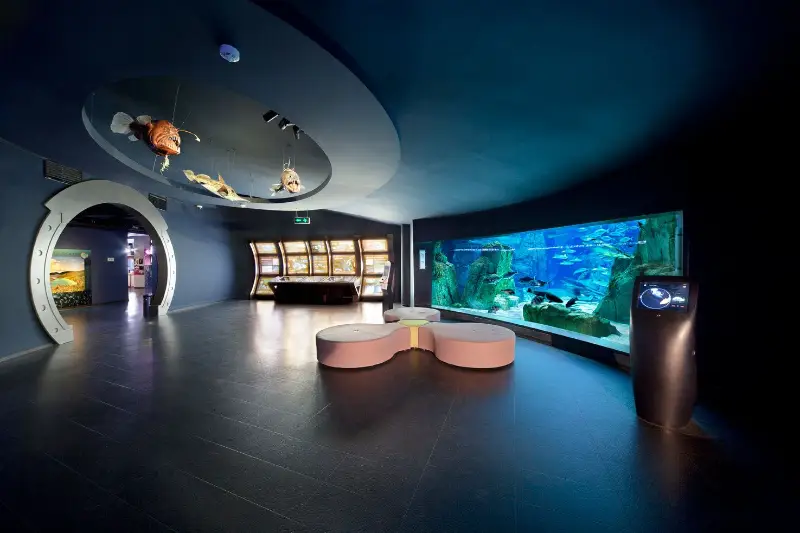 بخش میانی اقیانوس اطلس