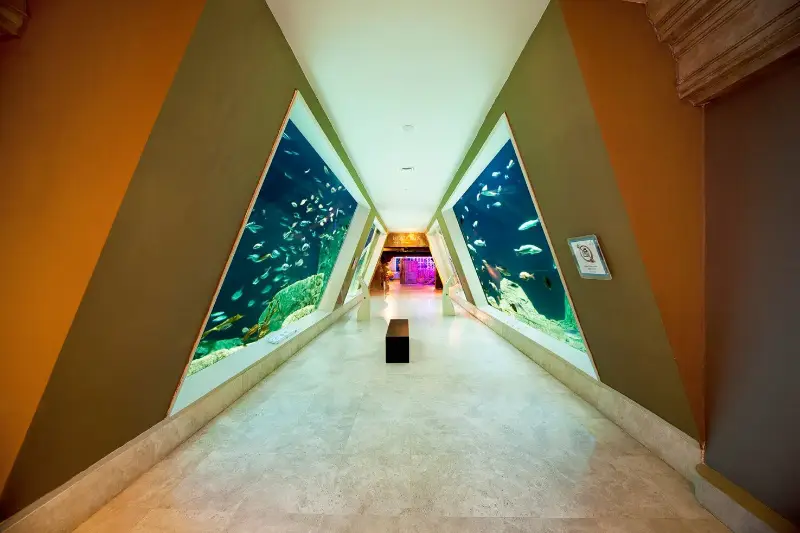 تنگه جبل الطارق آکواریوم استانبول