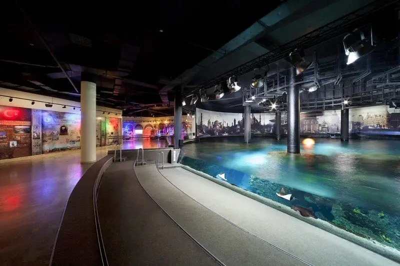 دریای مرمره در آکواریوم استانبول